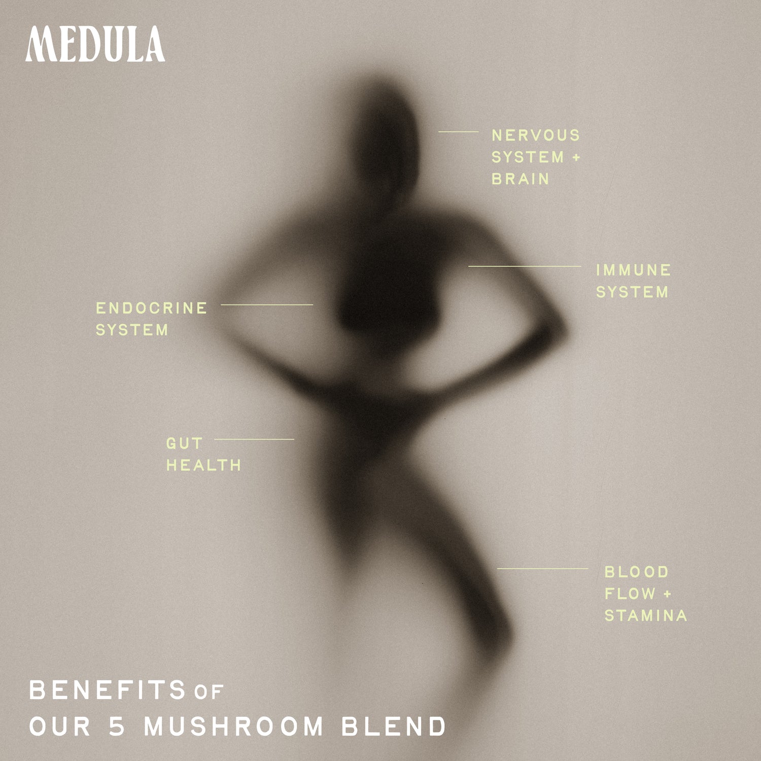 5 Mushroom Blend